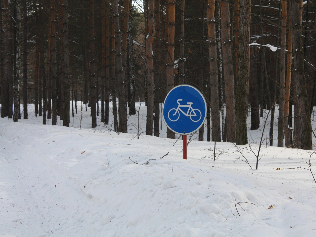 Bike path