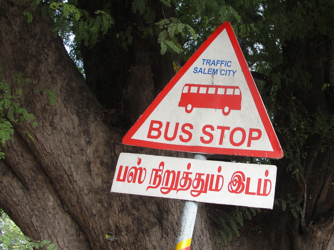 Bus stop