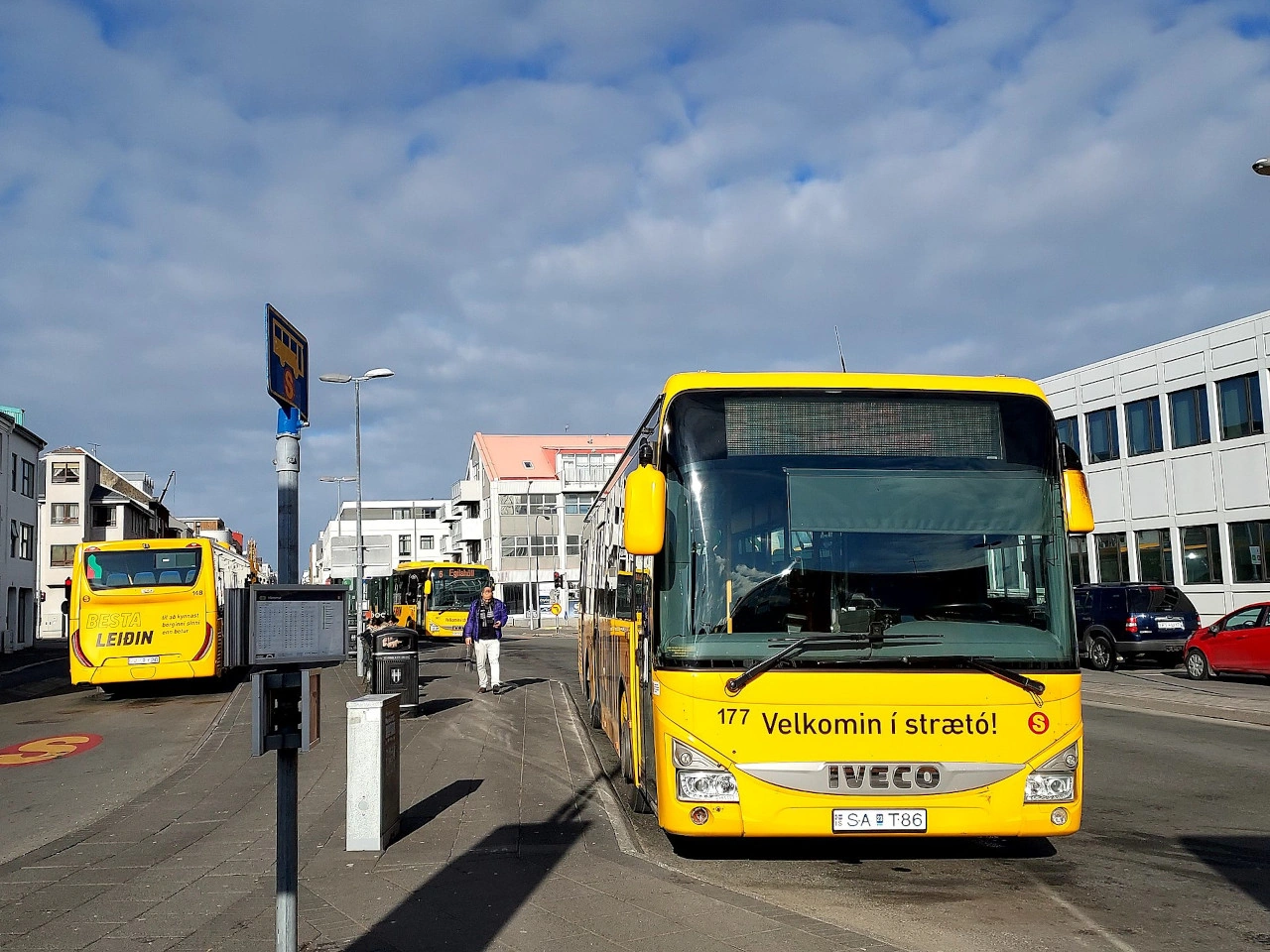 Bus