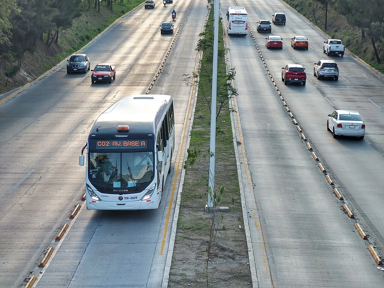 Bus