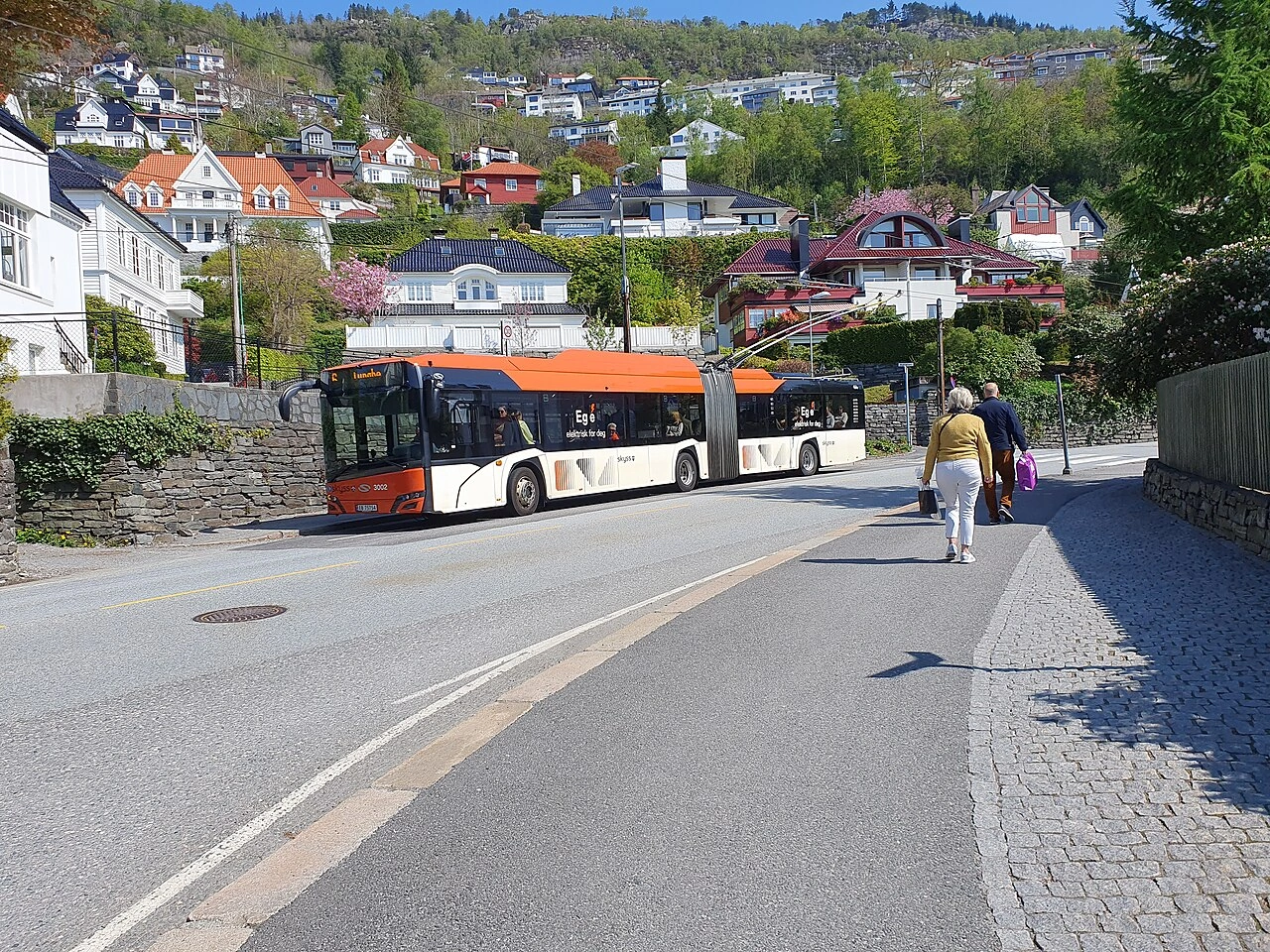 Bus