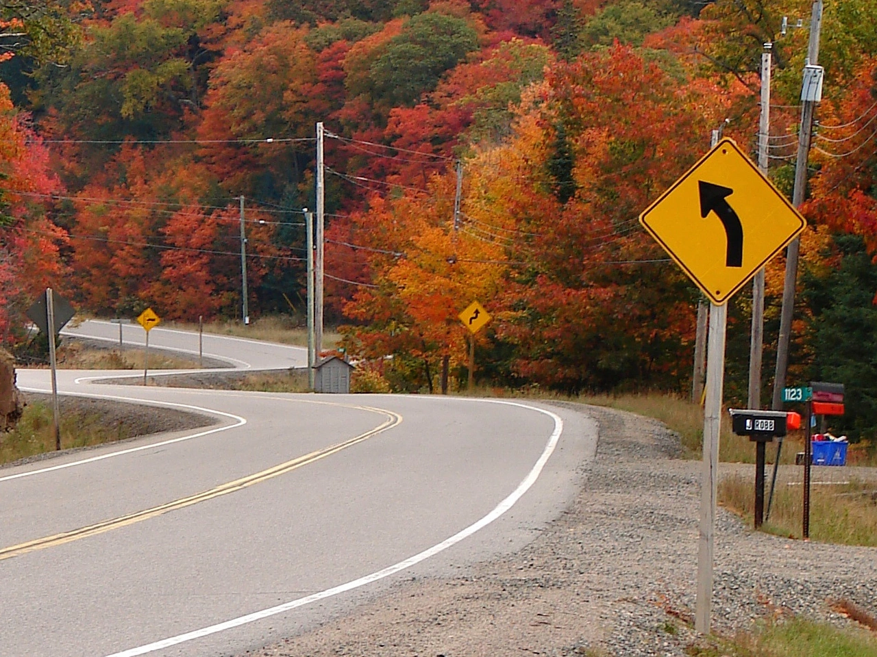 Curve
