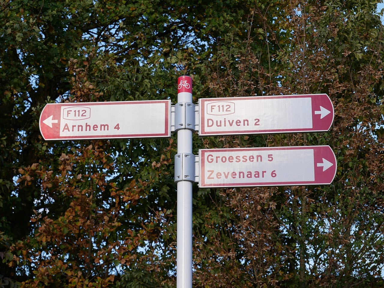 Ruta ciclista