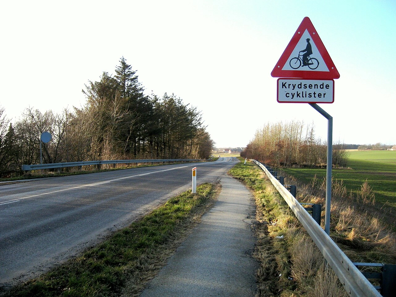 Ciclista