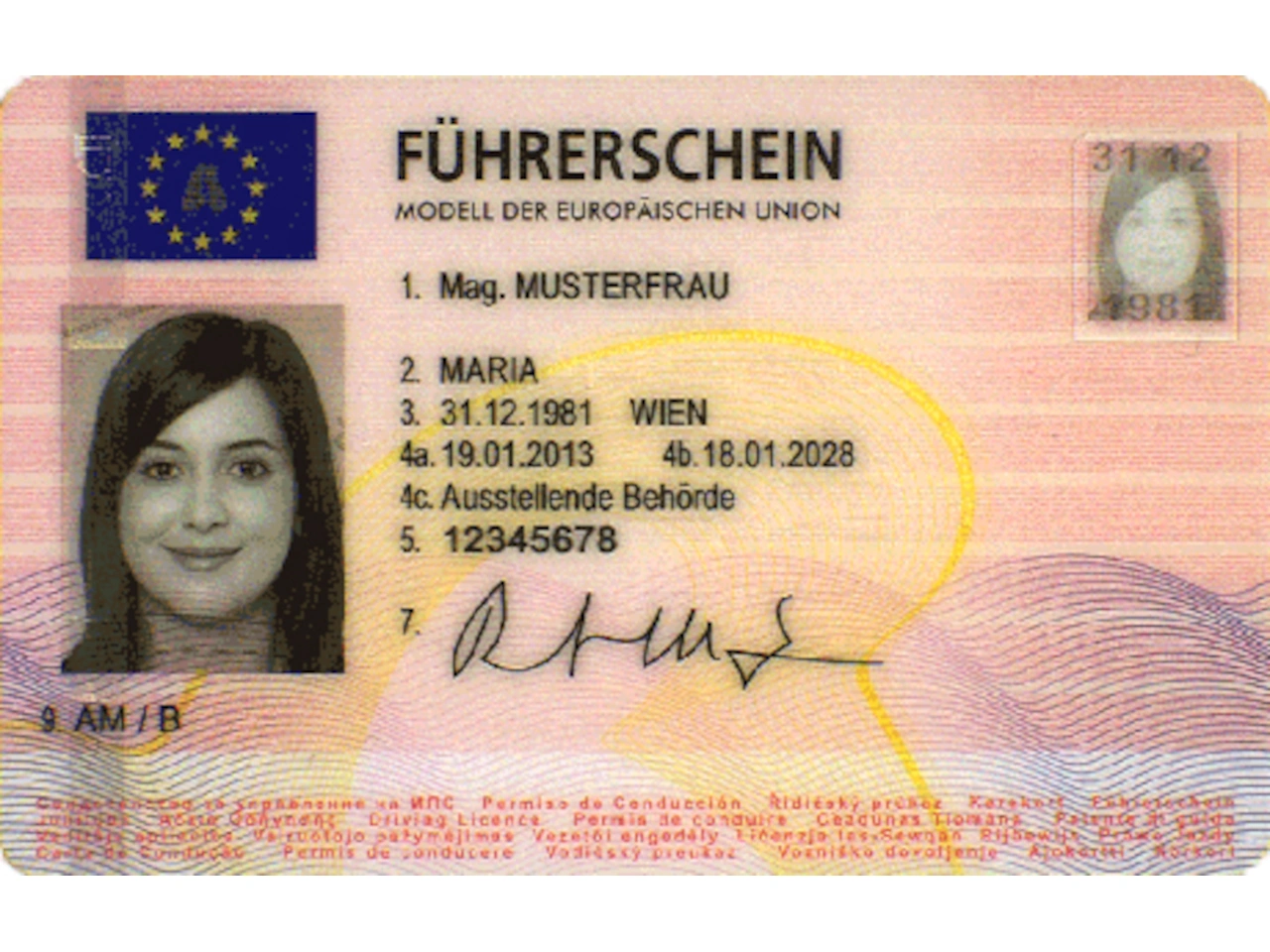 Driving licence