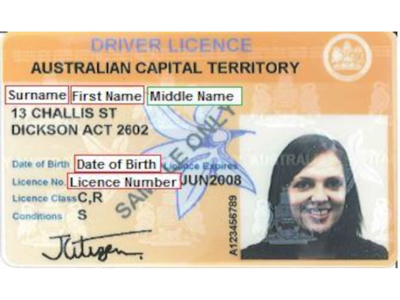 Driving licence