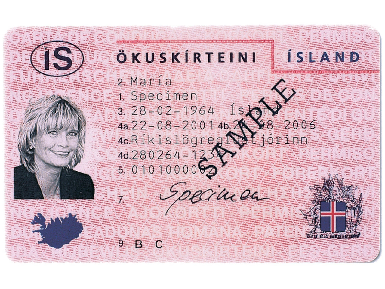 Driving licence