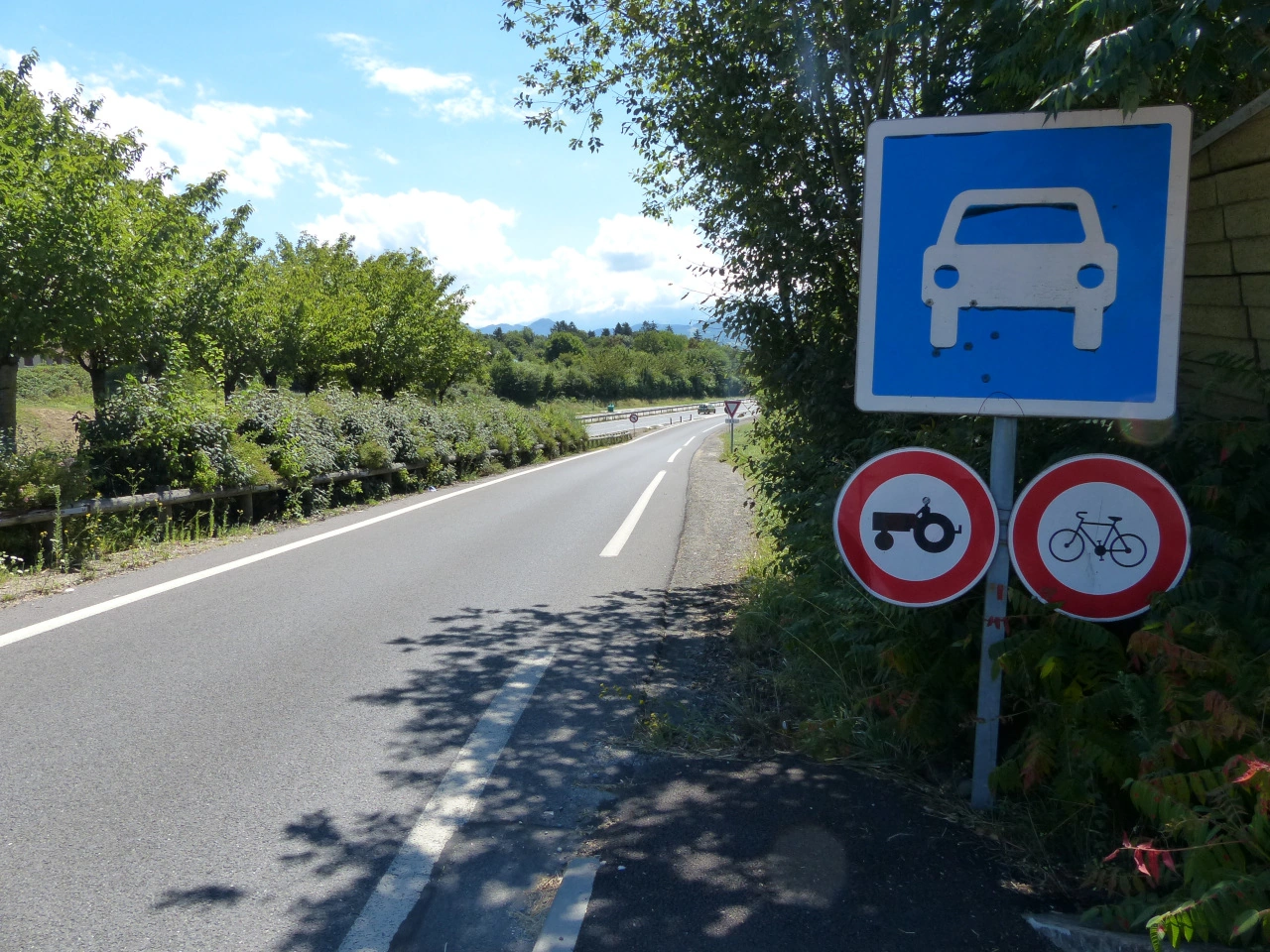 自動車専用道路