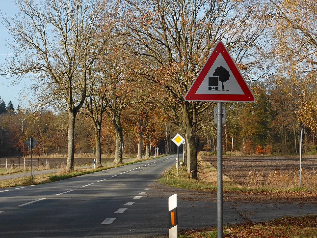 Überhängende Äste