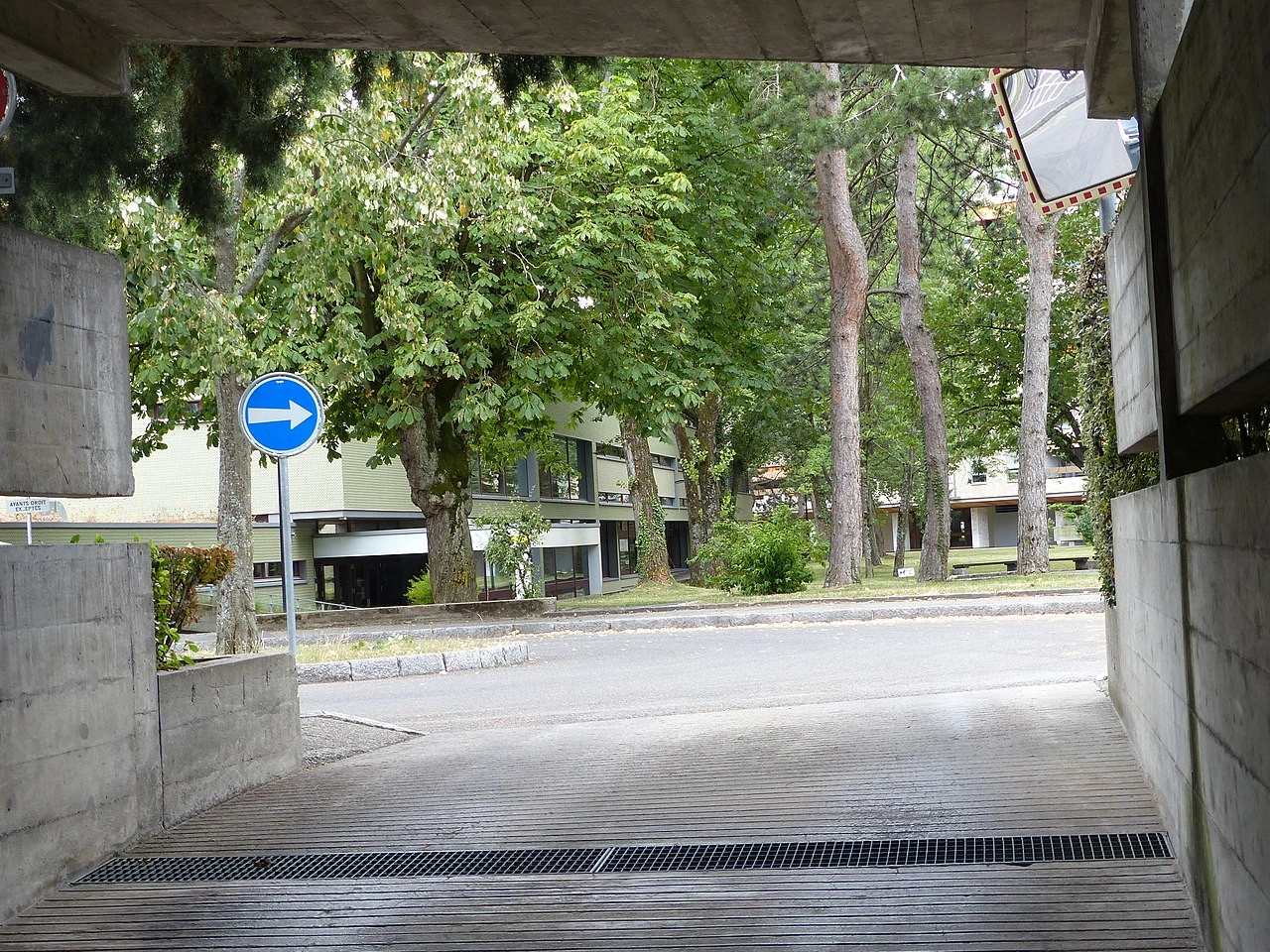 Zorunlu yön