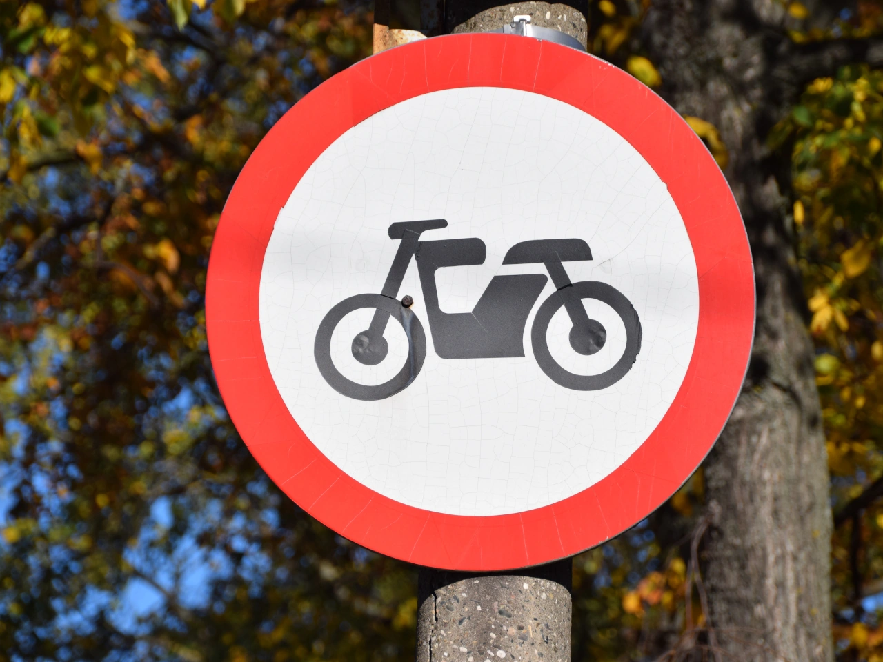 Moped