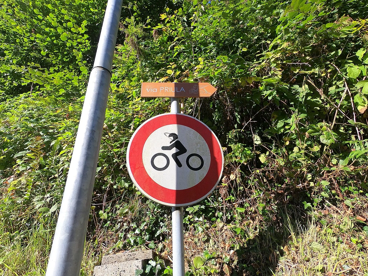 Motosiklet