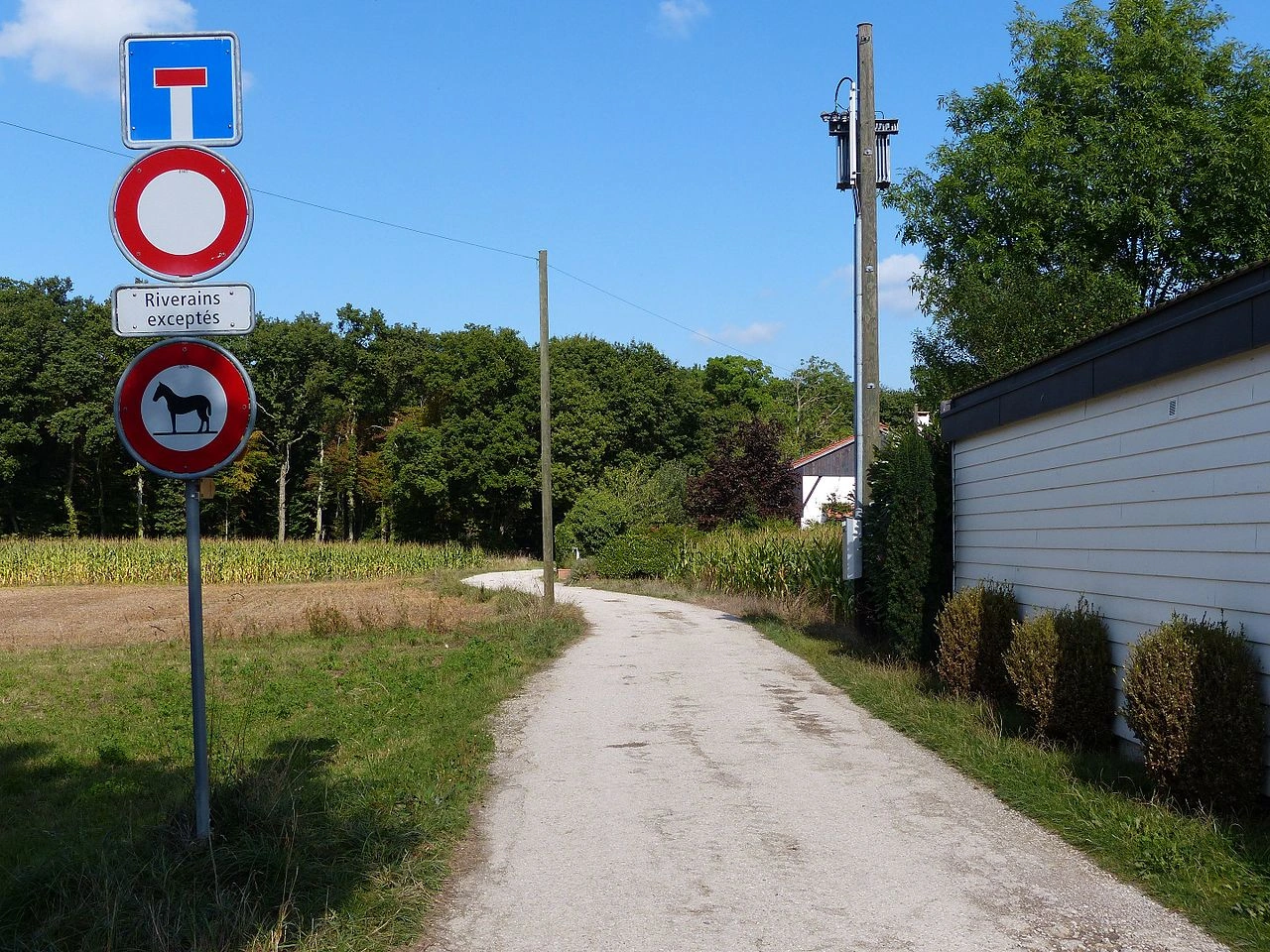 No vehicles