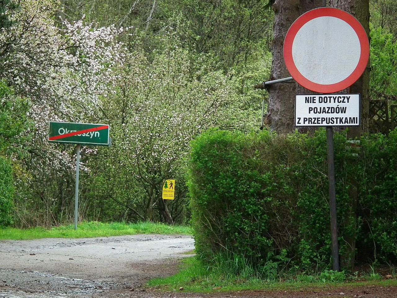 No vehicles