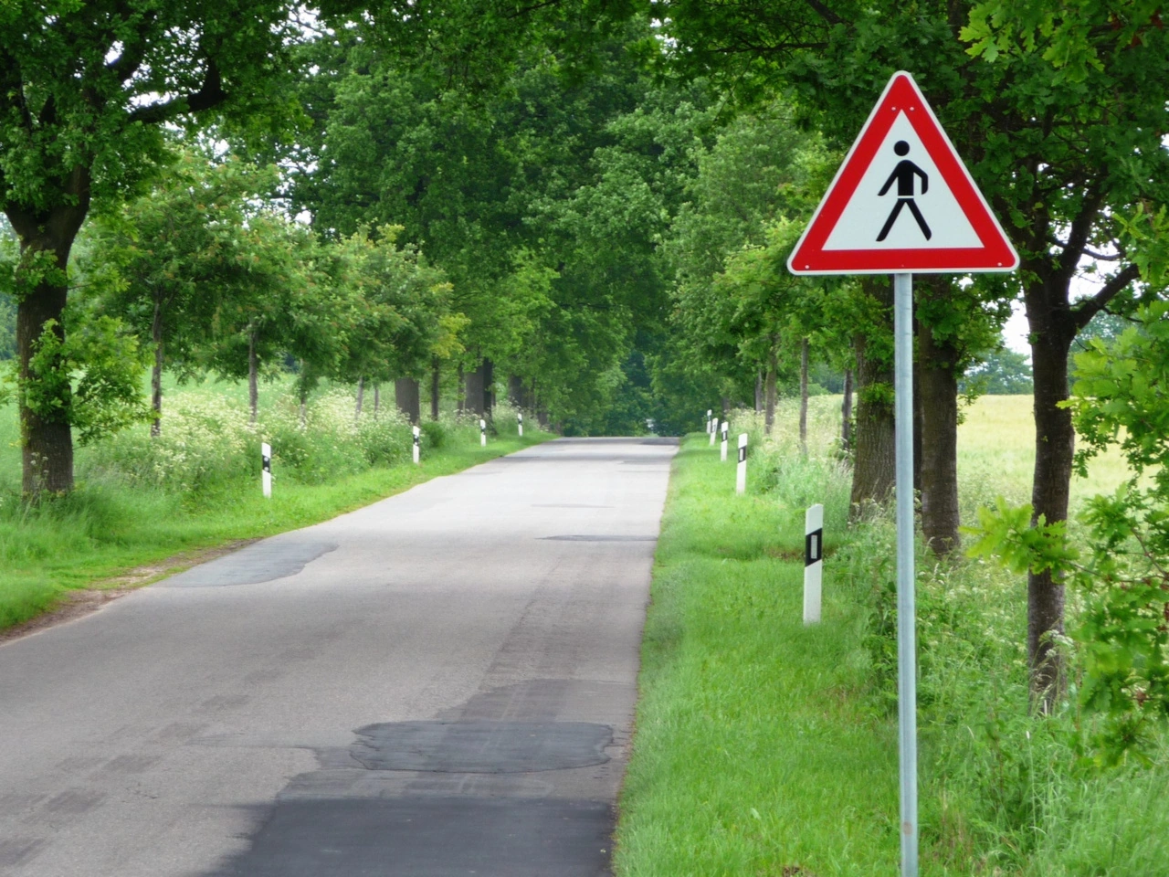 Pedestrian warning