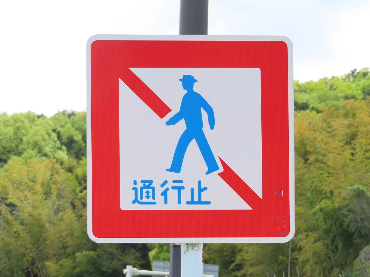 歩行者
