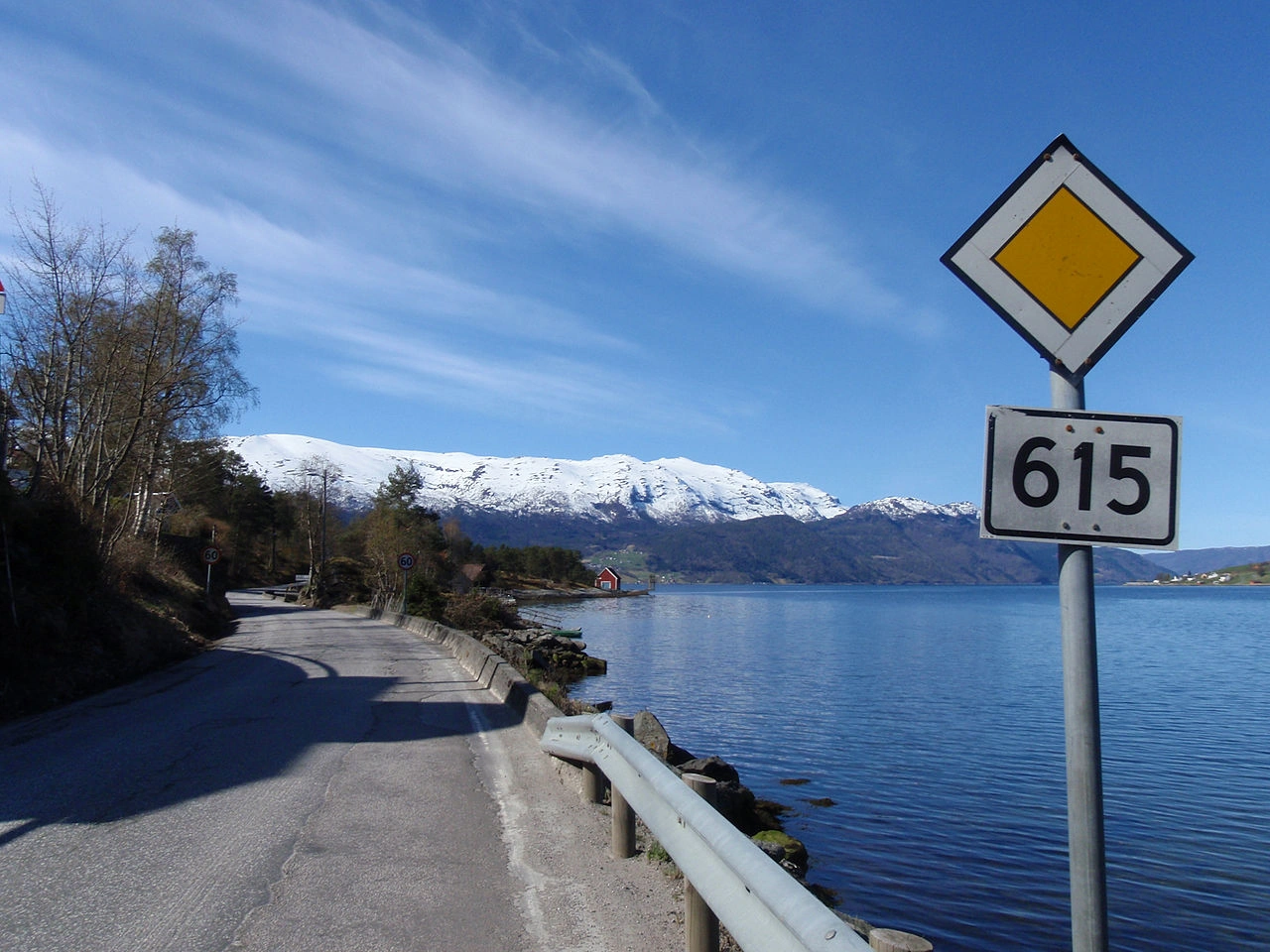 Priority road