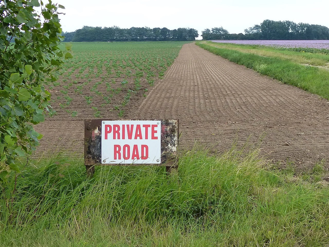 Özel yol