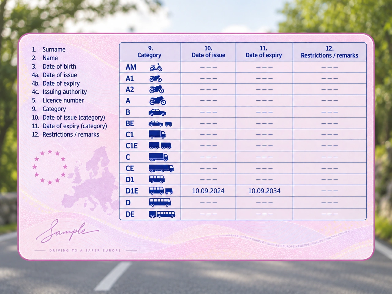 Which vehicle combination is covered by driving licence D1E?