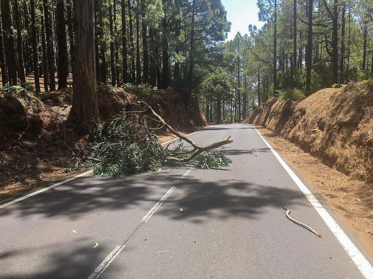 Road debris