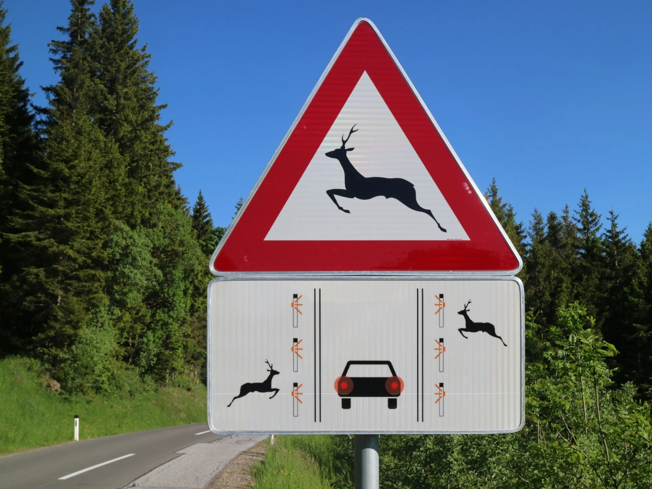 Crossing animals