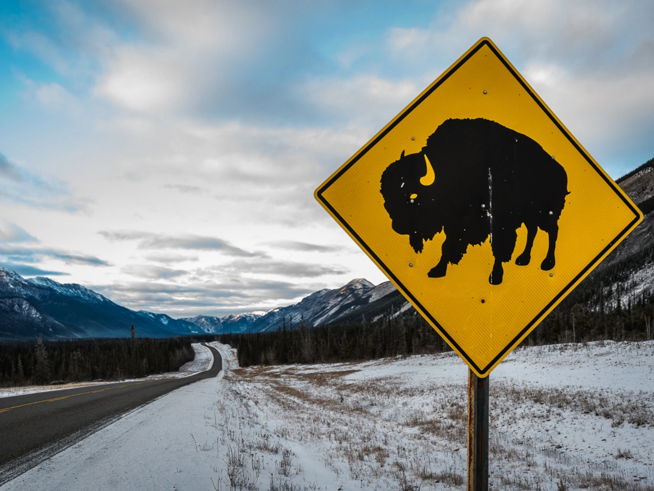 Crossing animals