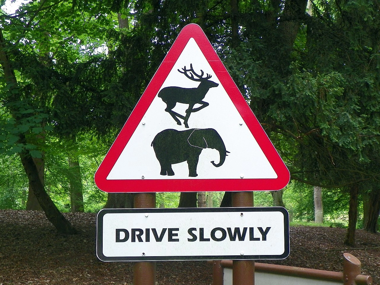 Crossing animals
