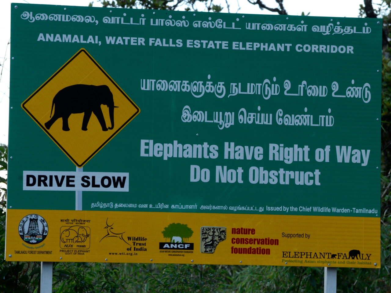 Crossing animals