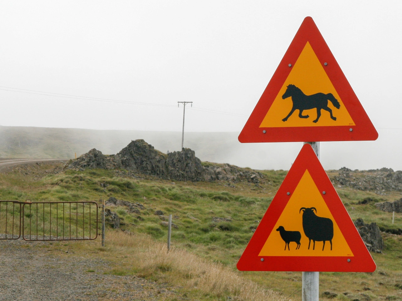 Crossing animals