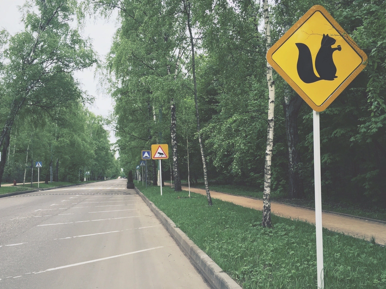 Crossing animals