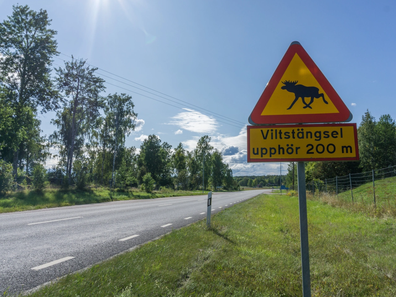 Crossing animals