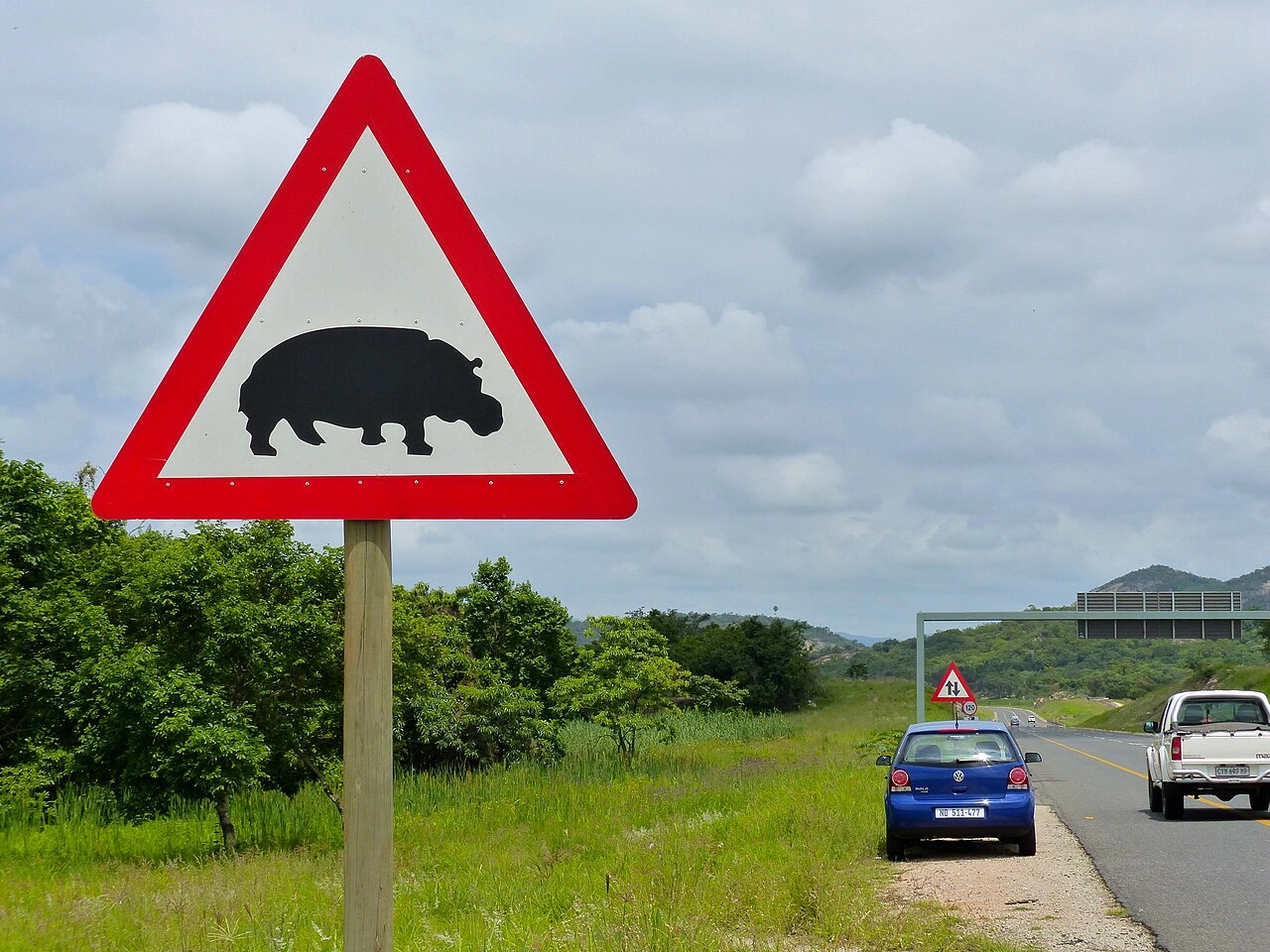 Crossing animals
