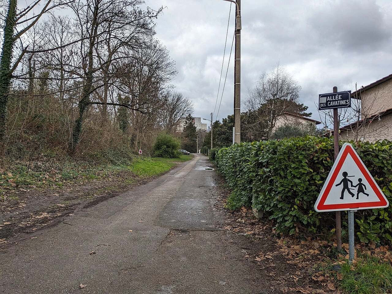 School area