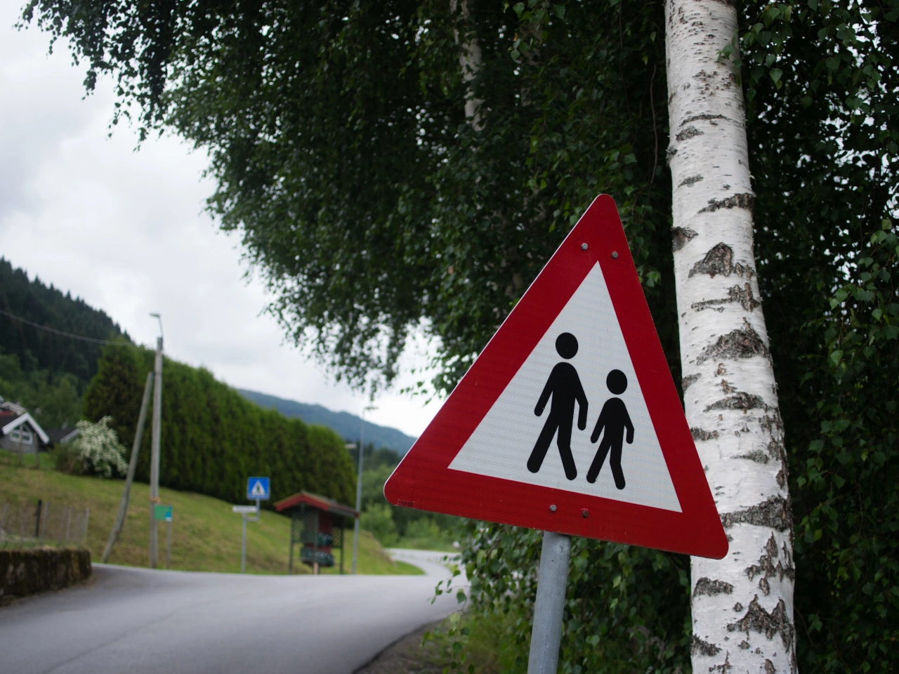 School area