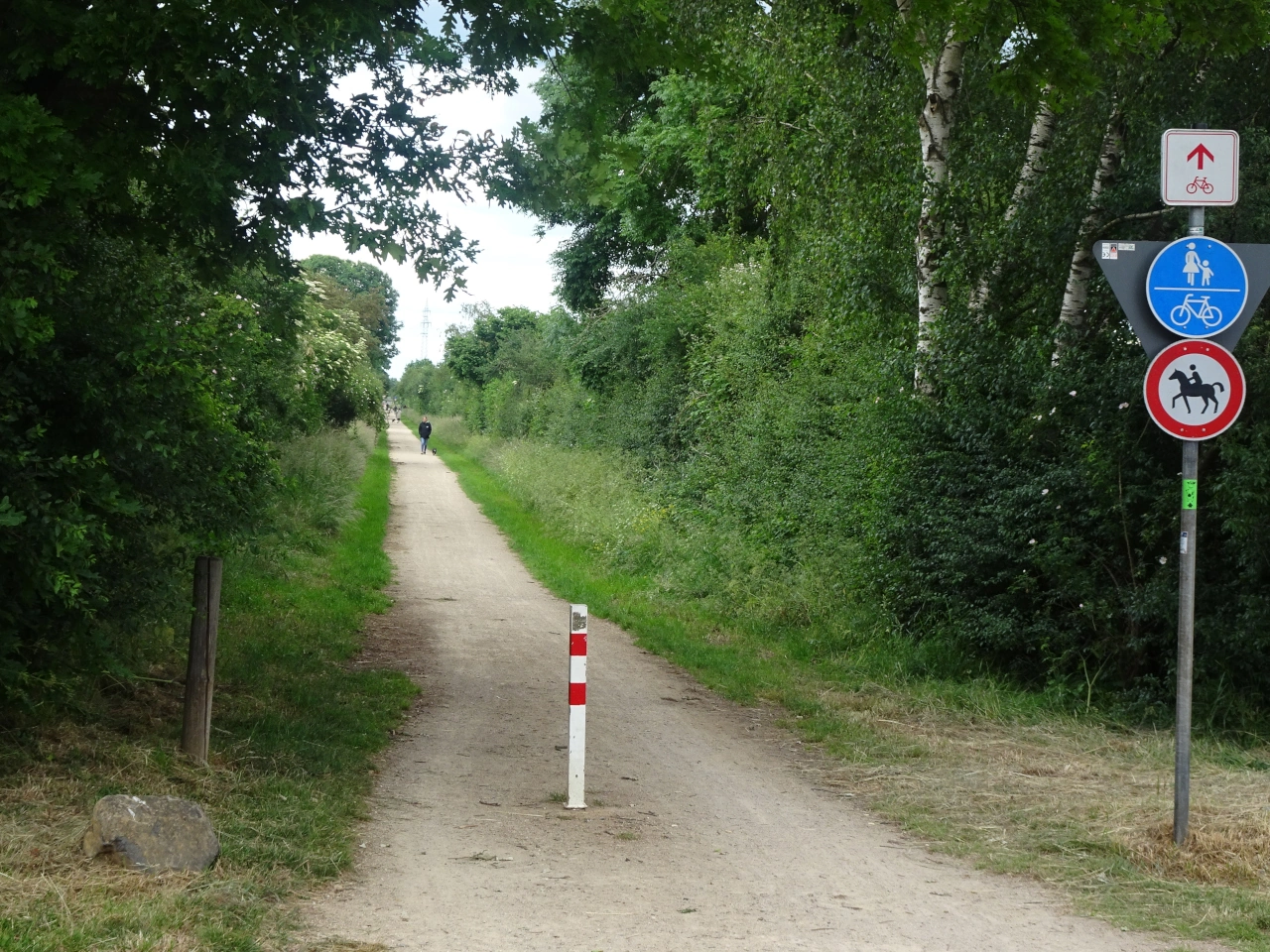 Shared-use path