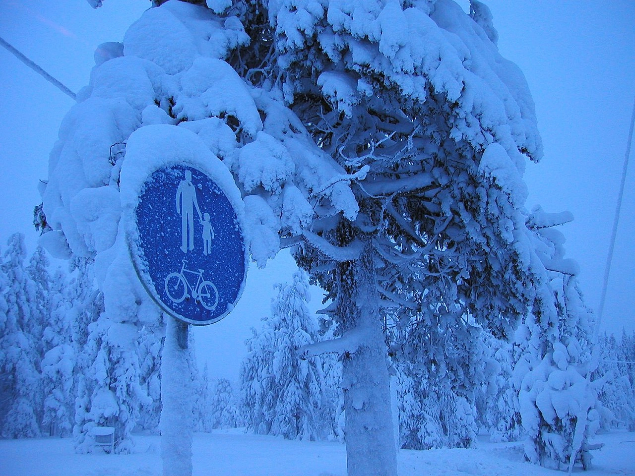 Shared-use path