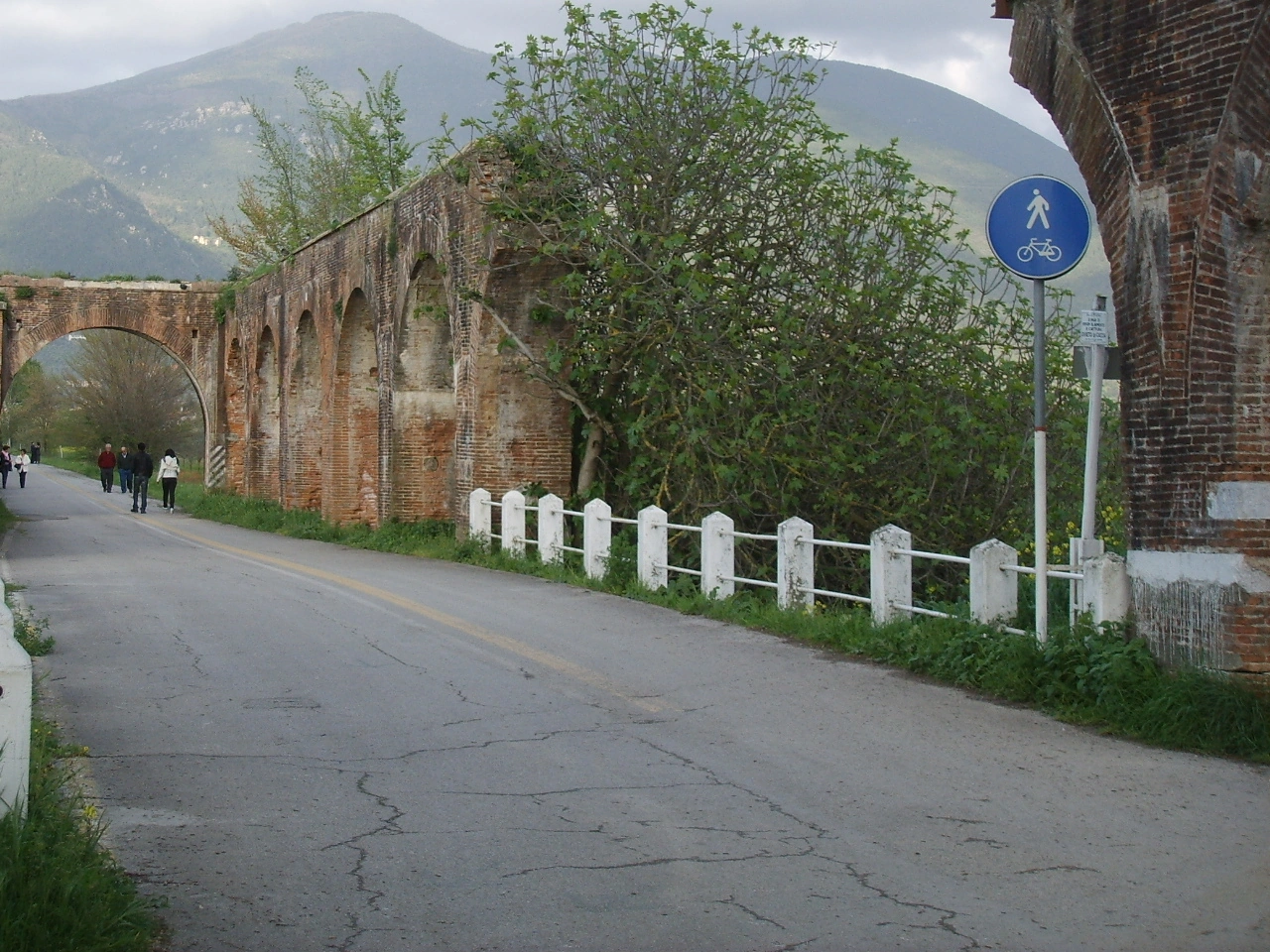Paylaşımlı yol