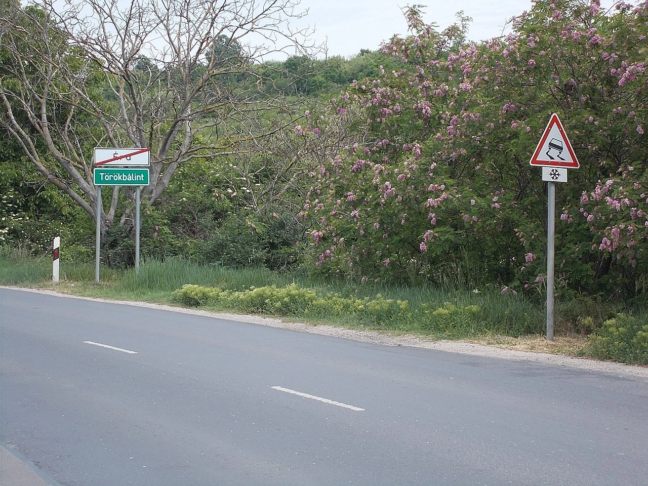Slippery road
