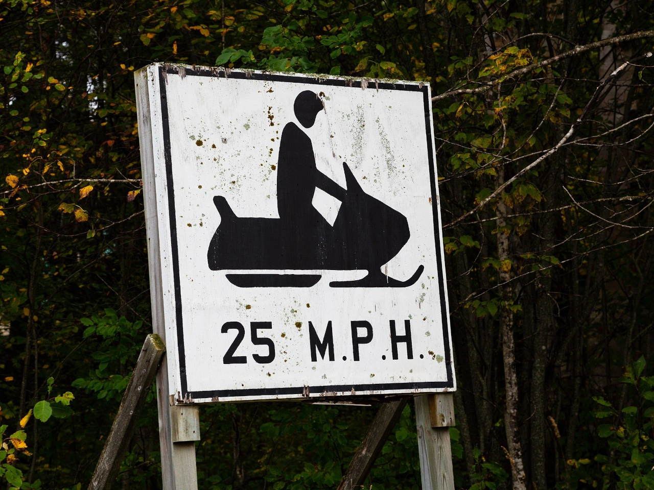 Sneeuwscooter