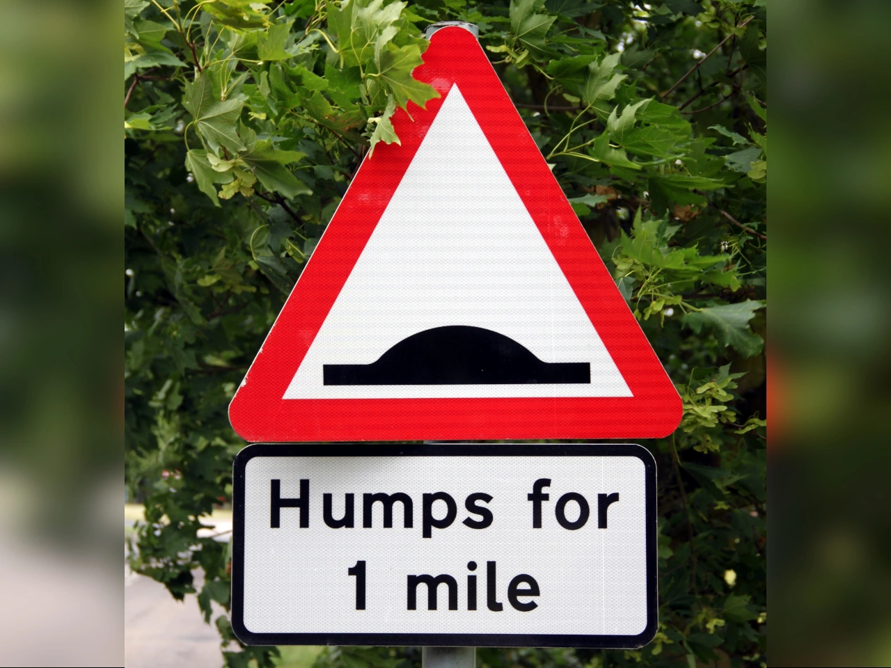 Speed bump