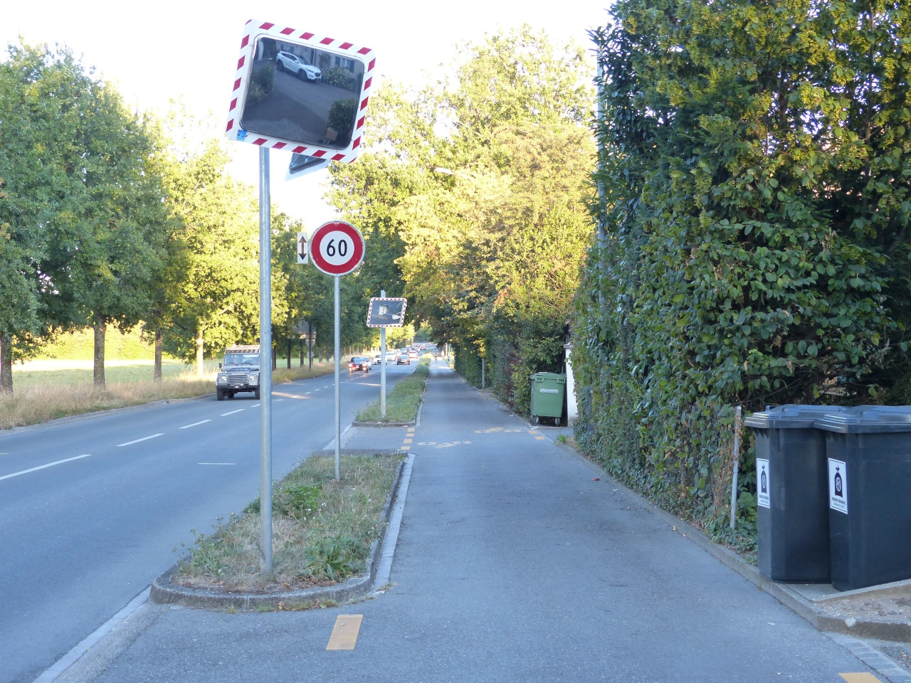 Trafik aynası