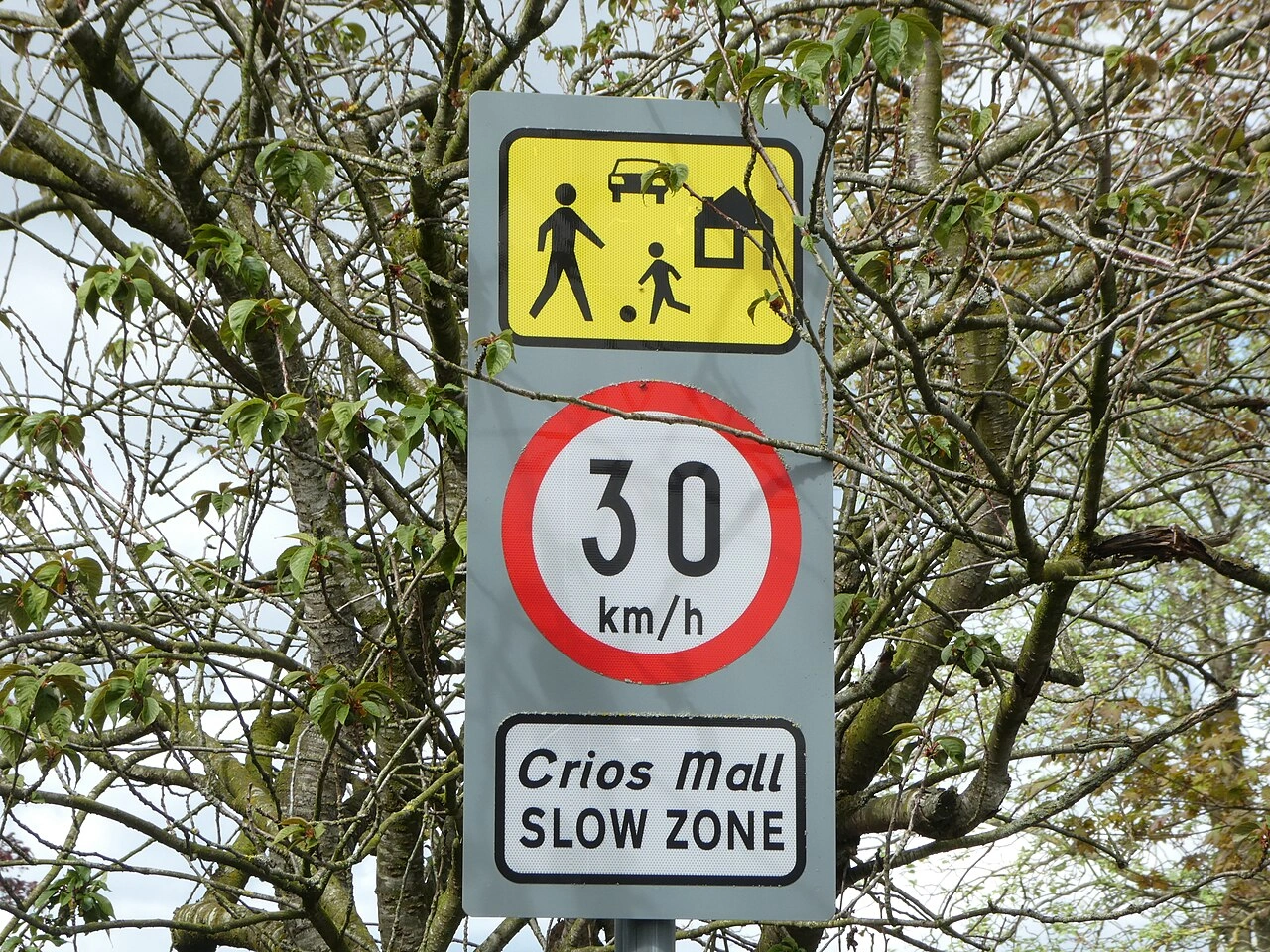Zone