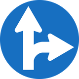 Driving straight ahead or turning right mandatory.