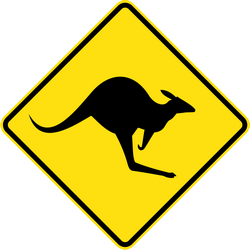 Warning for kangaroos on the road.