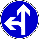 Obrigatório seguir em frente ou virar à esquerda.