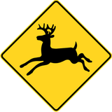 Warning for crossing deer.