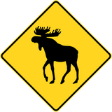 Warning for moose on the road.