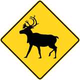 Warning for reindeer on the road.