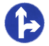 Driving straight ahead or turning right mandatory.