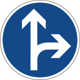 Driving straight ahead or turning right mandatory.